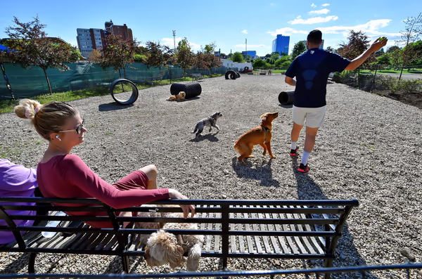 Stamford Dog Park photo 1